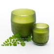 Apiary Candle-Verdant