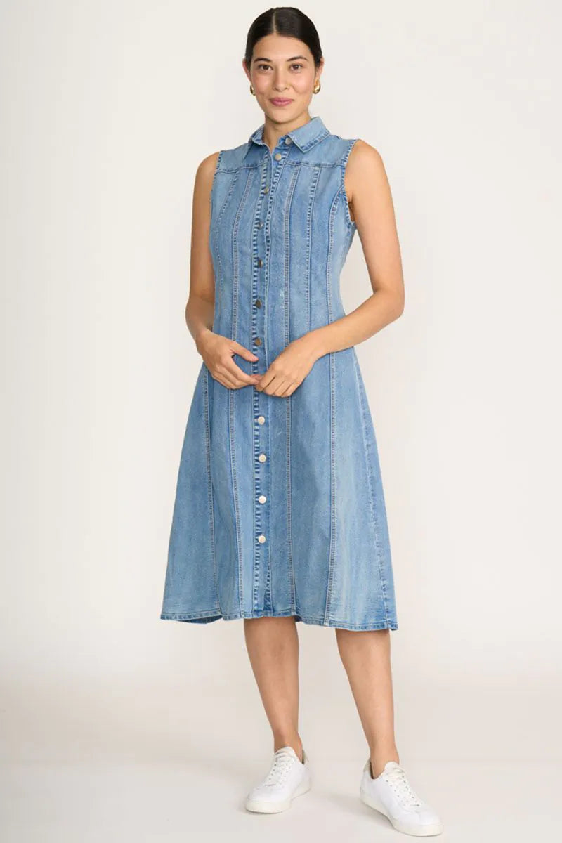 JEAN-ERATION DRESS